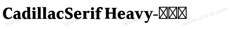 CadillacSerif Heavy字体转换 CadillacSerif Heavy字体转换